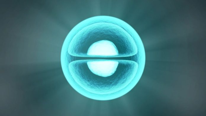 Cancro, i ricercatori di Yale potrebbero aver trovato una nuova cura, cellule tumorali, DNA mitocondriale