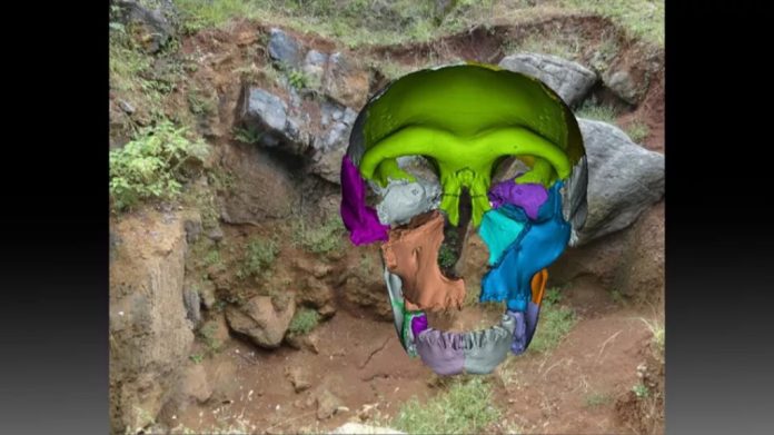 Rinvenuti frammenti di osso appartenenti a un lignaggio umano sconosciuto