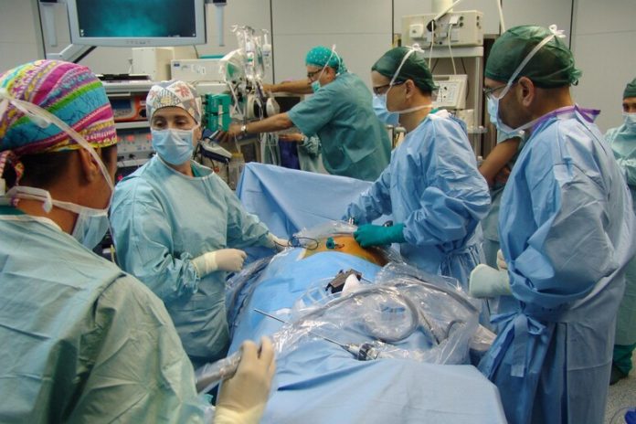 Un rene di maiale ha funzionato per 2 mesi in un corpo umano