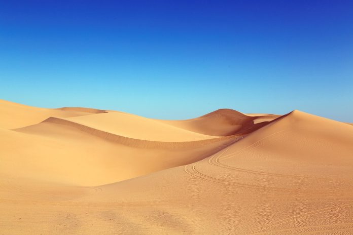 La Terra è in pericolo a causa delle azioni umane: lo dicono gli scienziati