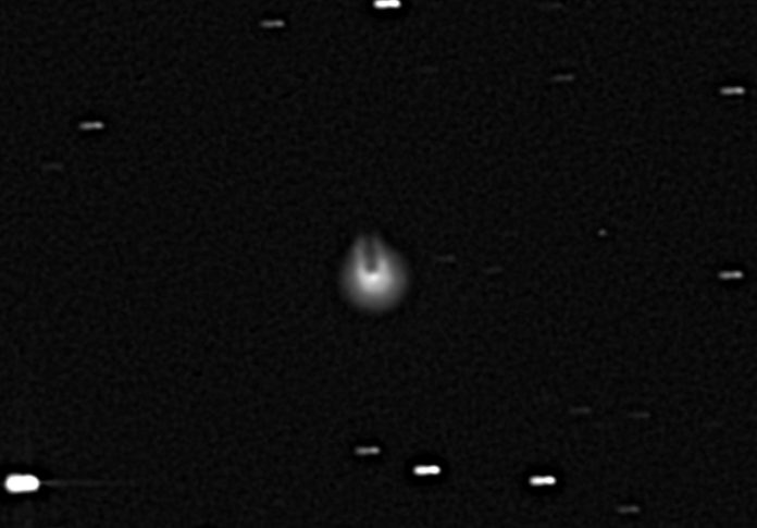 Arriva una cometa che somiglia al Millenium Falcon