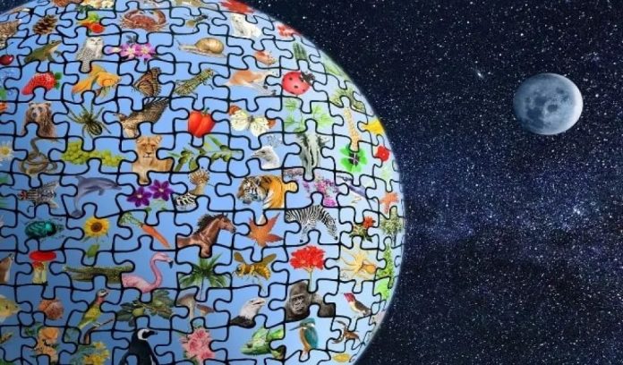 L'evoluzione della biodiversità in 500 milioni di anni