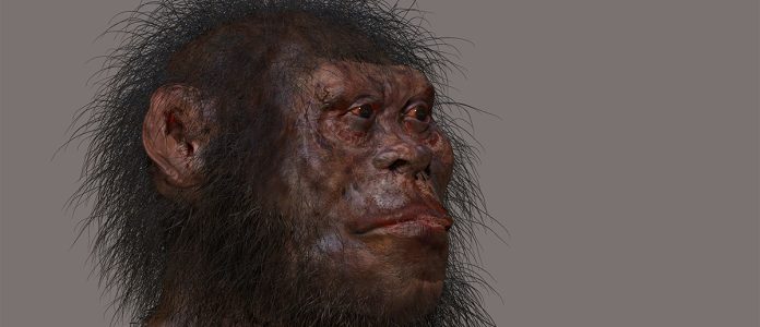 Il più antico cimitero della storia non fu realizzato dall'Homo sapiens
