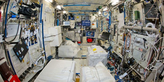 Da Star Trek al laboratorio: la vera sfida dei funghi nell'ipergravità
