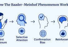 Baader–Meinhof phenomenon: i social ci condizionano? Baader–Meinhof phenomenon: i social ci condizionano?