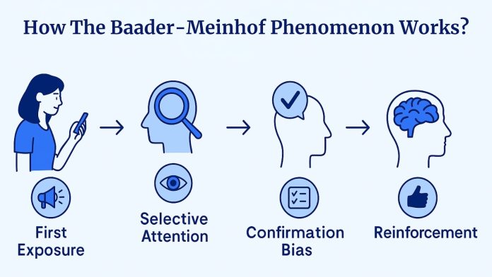 Baader–Meinhof phenomenon: i social ci condizionano?