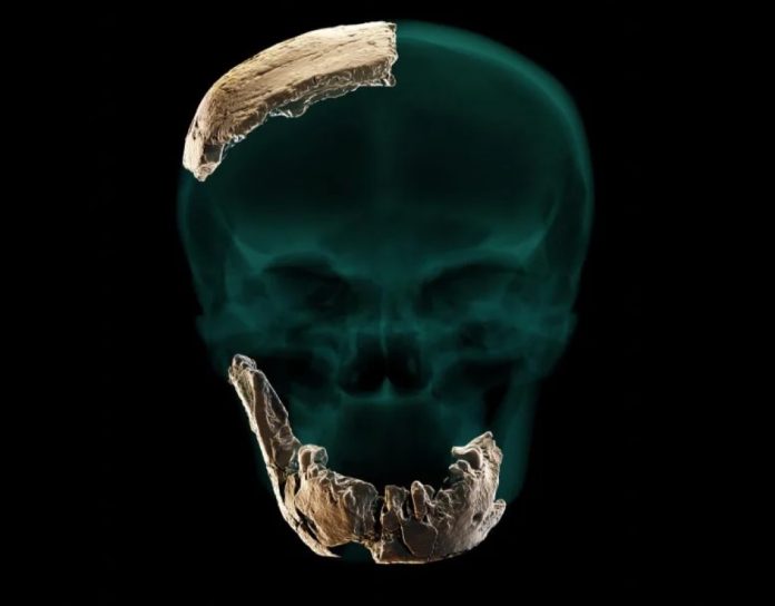 Nesher Ramla Homo: una misteriosa stirpe di ominidi