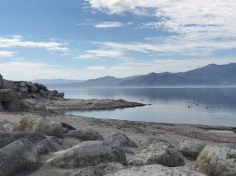 Salton Sea: il lago che custodisce 18 milioni di tonnellate di “oro bianco”