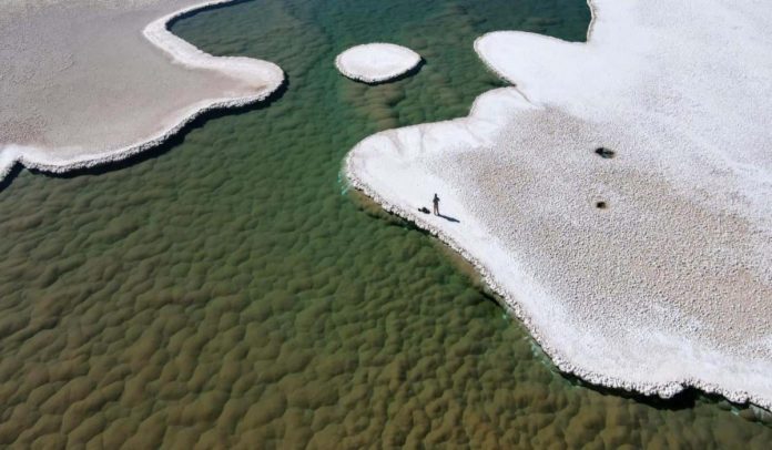 Un raro ecosistema mostra com'era la Terra miliardi di anni fa