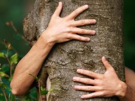 Ecosessualità: un nuovo trend o qualcosa di più serio?