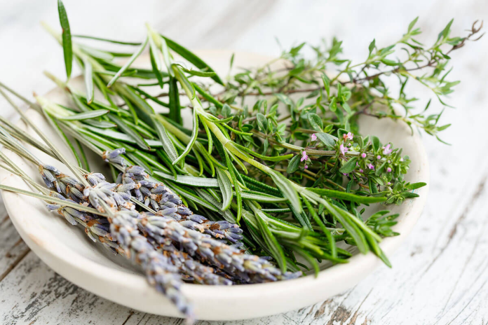 Erbe aromatiche: uno zoo ne coltiva oltre 200 per gli animali
