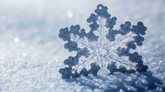 Cristalli di neve