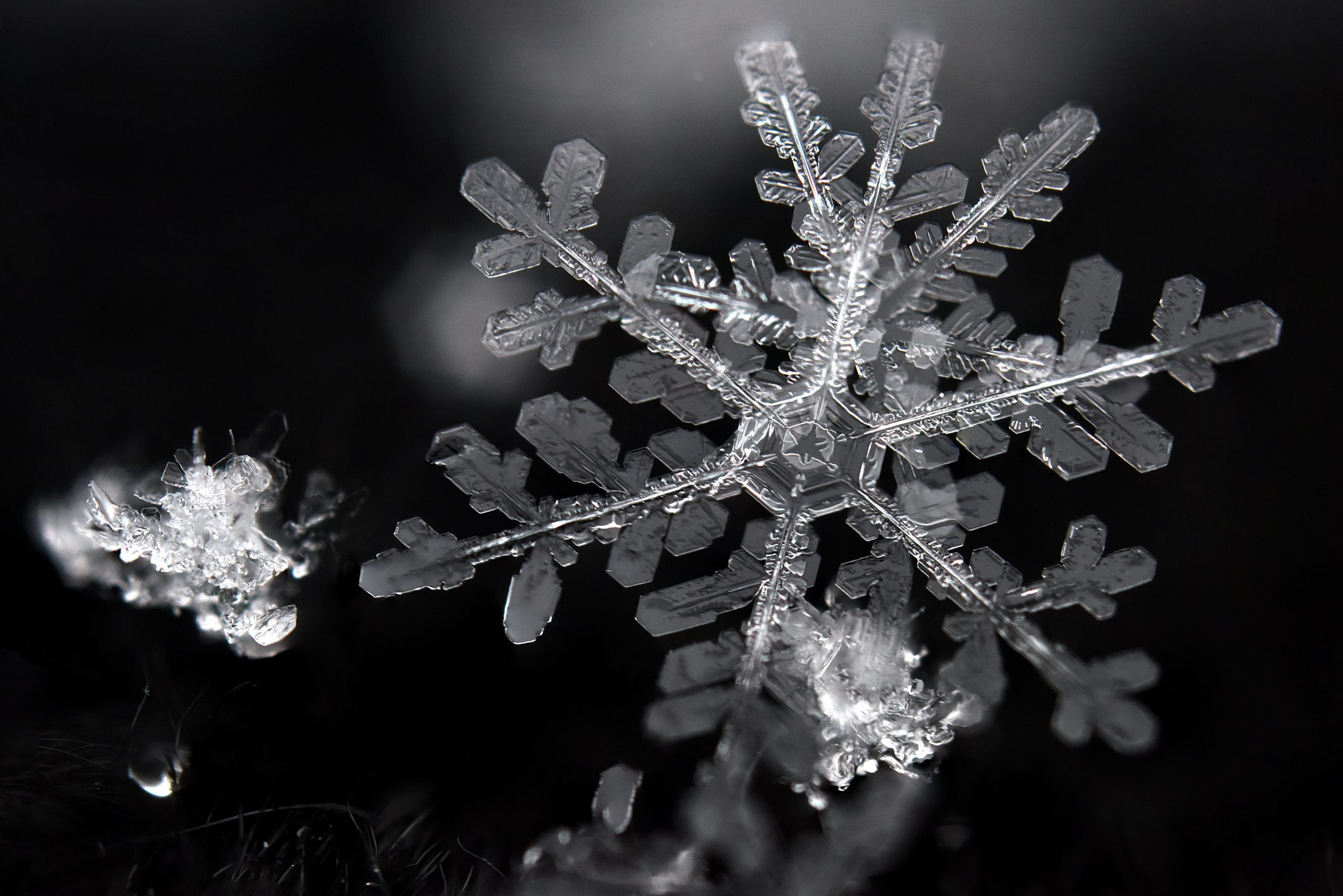 Cristalli di neve