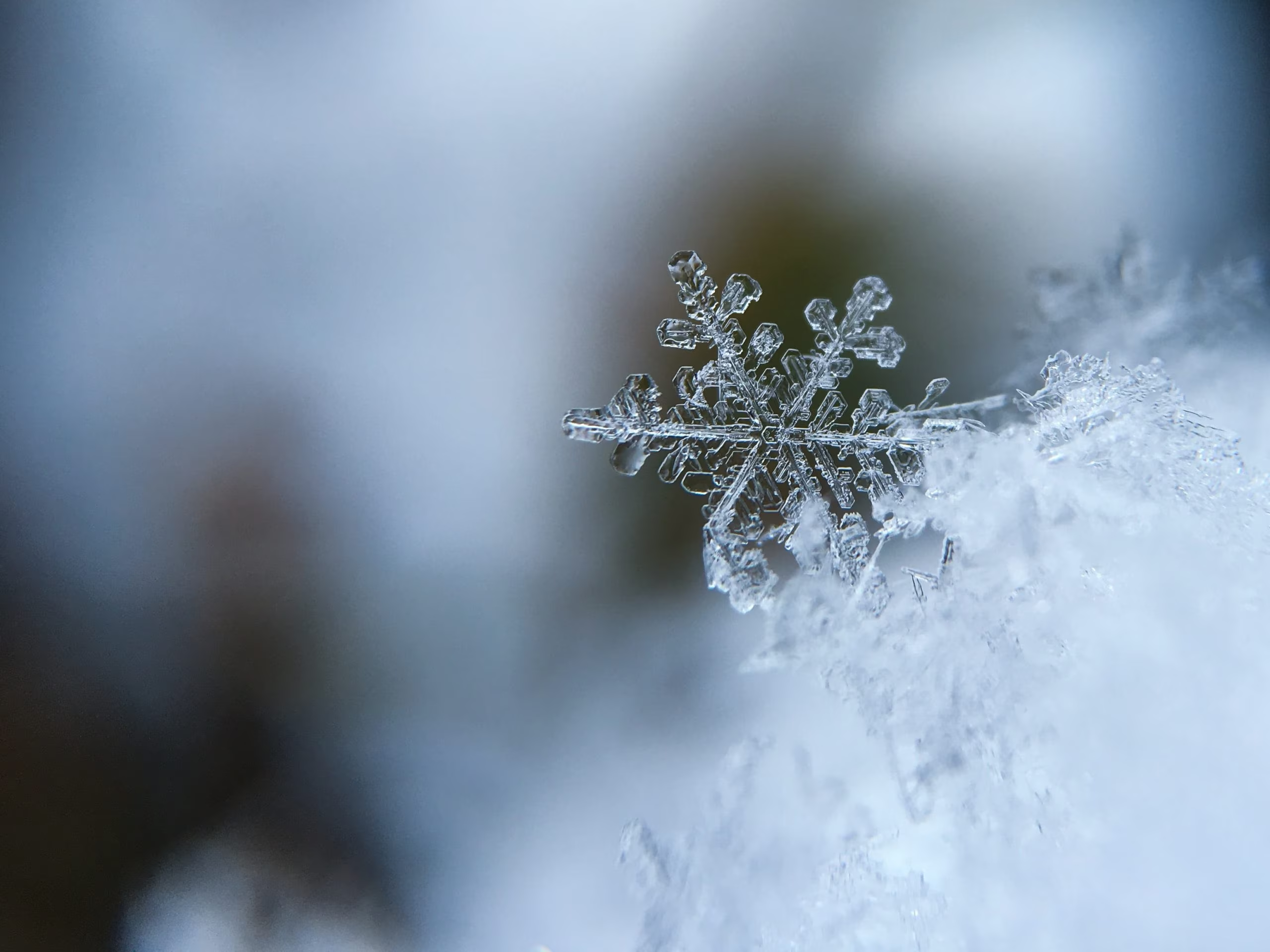 Cristalli di neve