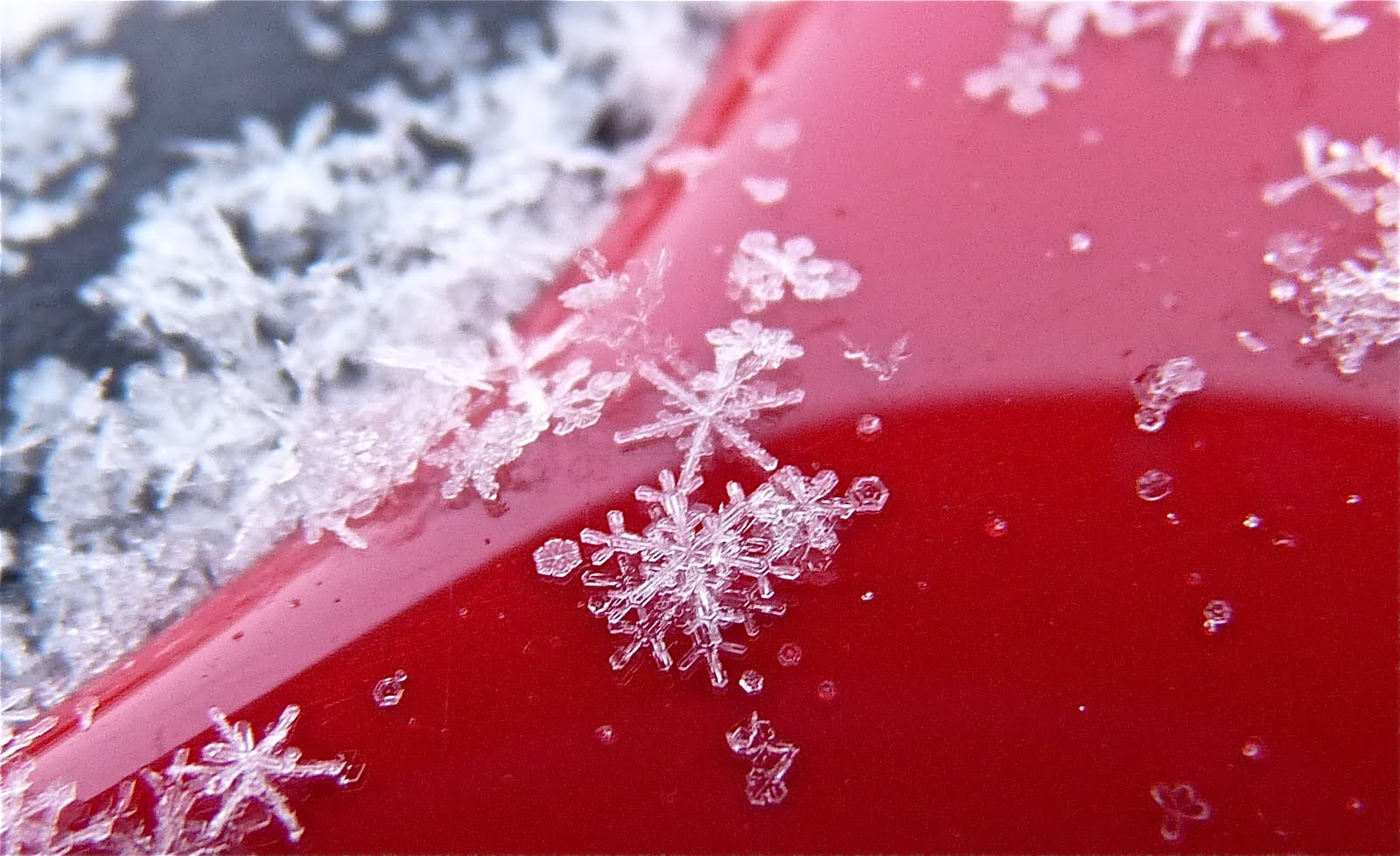 Cristalli di neve
