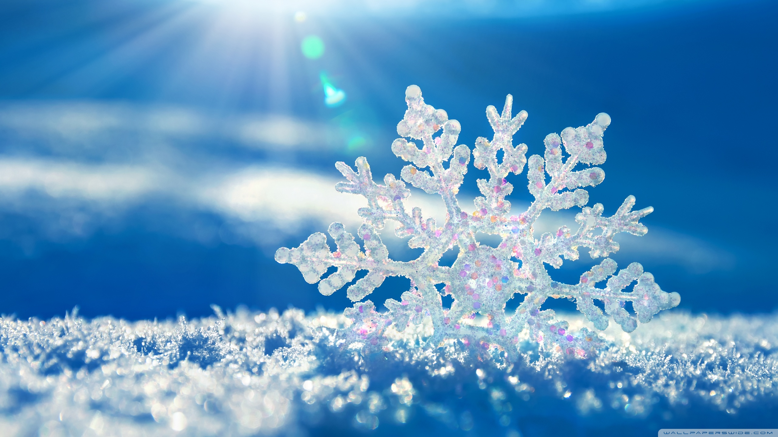 Cristalli di neve