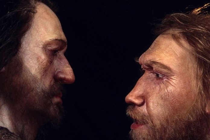 Neanderthal: stessa specie dell'homo , sapiens? Manufatti in pietra
