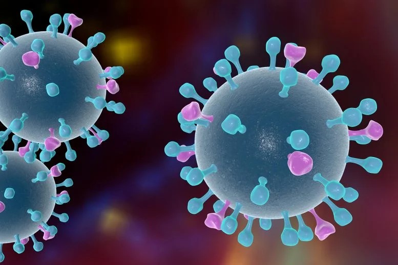 Una nuova classe di anticorpi promette vaccini più efficaci 1 I ricercatori hanno scoperto una nuova classe di anticorpi in grado di neutralizzare vari ceppi di virus influenzali, contribuendo potenzialmente allo sviluppo di vaccini antinfluenzali più protettivi. Questa svolta sottolinea l’importanza di diversificare i metodi di produzione dei vaccini antinfluenzali e fornisce nuove strade per la progettazione dello stesso.