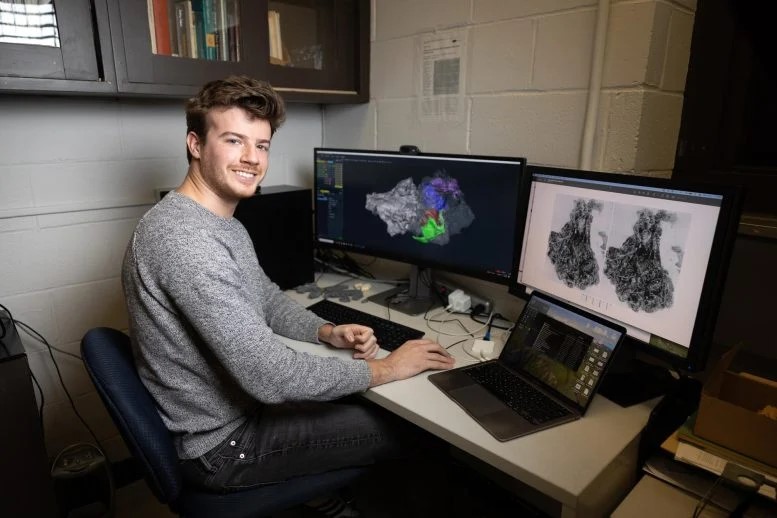 I Picrodontidi non erano primati, rivela un nuovo studio 2 Jordan Crowell, un dottorato di ricerca in antropologia. Il candidato del CUNY Graduate Center ha lavorato con la moderna tecnologia di scansione TC per analizzare il cranio del picrodontide nel Mammalian Evolutionary Morphology Laboratory del Brooklyn College. Credito: Richard Petrias