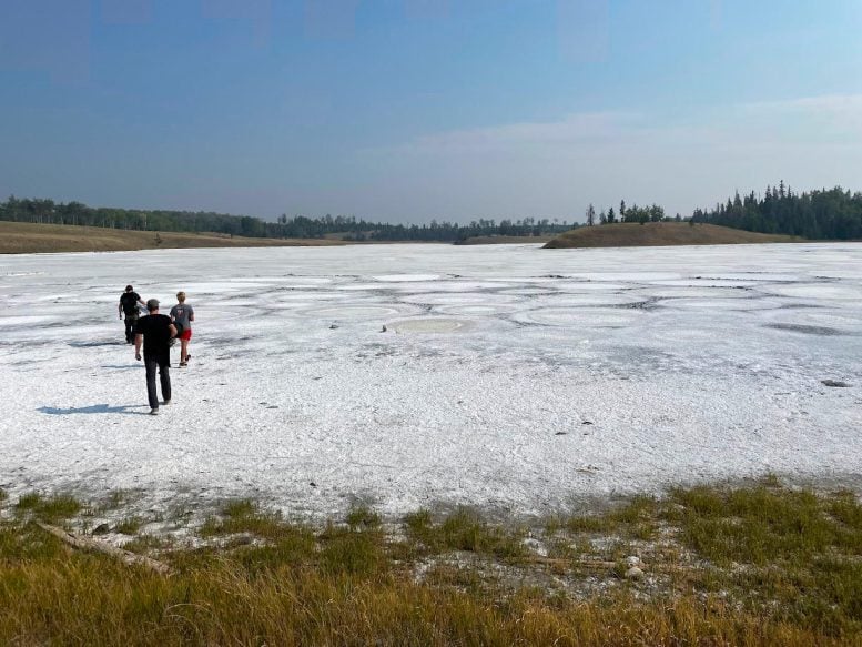 Laghi di soda: l'anello mancante nell'origine della vita? 1 Il Last Chance Lake nel settembre 2022. Alla fine dell'estate, l'acqua nei laghi di soda è quasi tutta evaporata, lasciando sulla superficie una crosta salata.