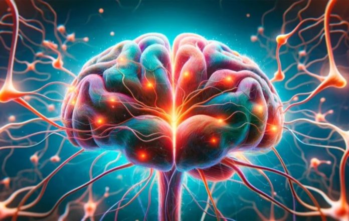 Sinapsi, identificata una funzione chiave nel cervello, KIBRA, nanodischi magnetici