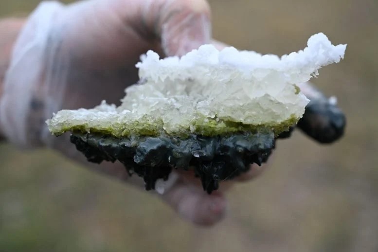 Laghi di soda: l'anello mancante nell'origine della vita? 3 Sebastian Haas tiene in mano un pezzo della crosta di sale del Last Chance Lake (uno dei laghi di soda), con alghe verdi al centro e sedimento nero sul fondo. Credito: David Catling/Università di Washington