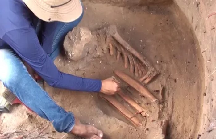Trovati resti umani di una comunità finora sconosciuta 1 Resti umani rinvenuti nel sito archeologico di São Luís, in Brasile. (Credito immagine: W Lage Arqueologia)