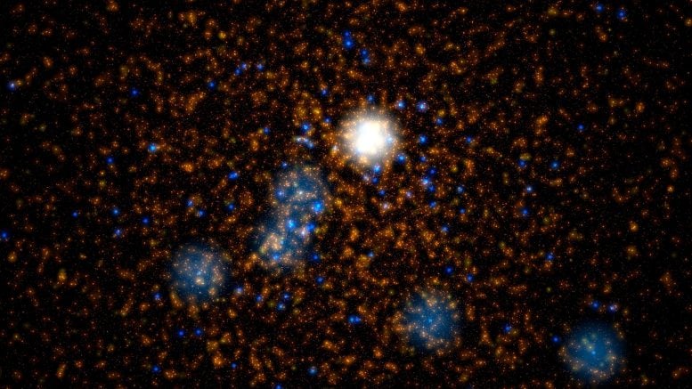 Come si formano i buchi neri di massa intermedia? - video 1 L'immagine raffigura un ammasso stellare simulato come calcolato nelle simulazioni Dragon-II. I punti arancioni e gialli rappresentano stelle simili al sole, mentre i punti blu indicano stelle con masse da 20 a 300 volte quella del Sole. Il grande oggetto bianco al centro rappresenta una stella con una massa di circa 350 masse solari, che a breve collasserà per formare un buco nero di massa intermedia. Crediti: © M. Arca Sedda (GSSI)