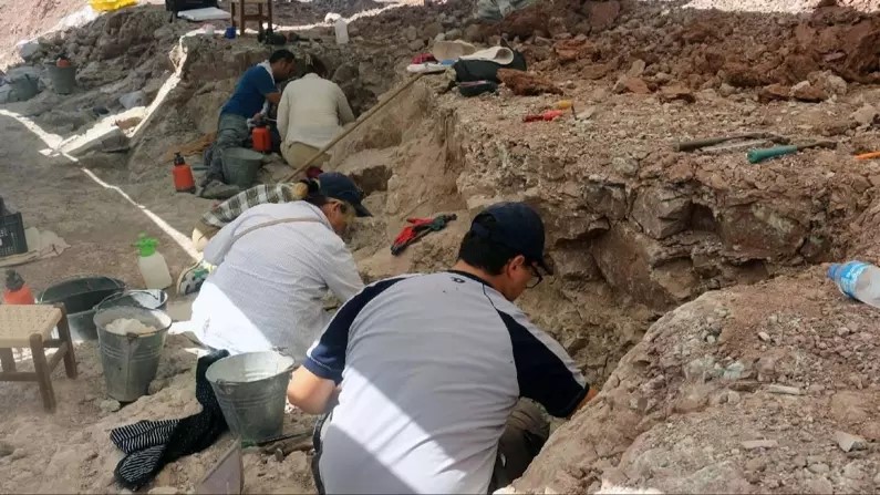 Trovati fossili di eucarioti di 1,6 miliardi di anni 2 I ricercatori guidati dal Prof. Maoyan Zhu dell’Istituto di geologia e paleontologia di Nanchino dell’Accademia cinese delle scienze, hanno riferito la loro recente scoperta di fossili multicellulari risalenti a 1,63 miliardi di anni fa