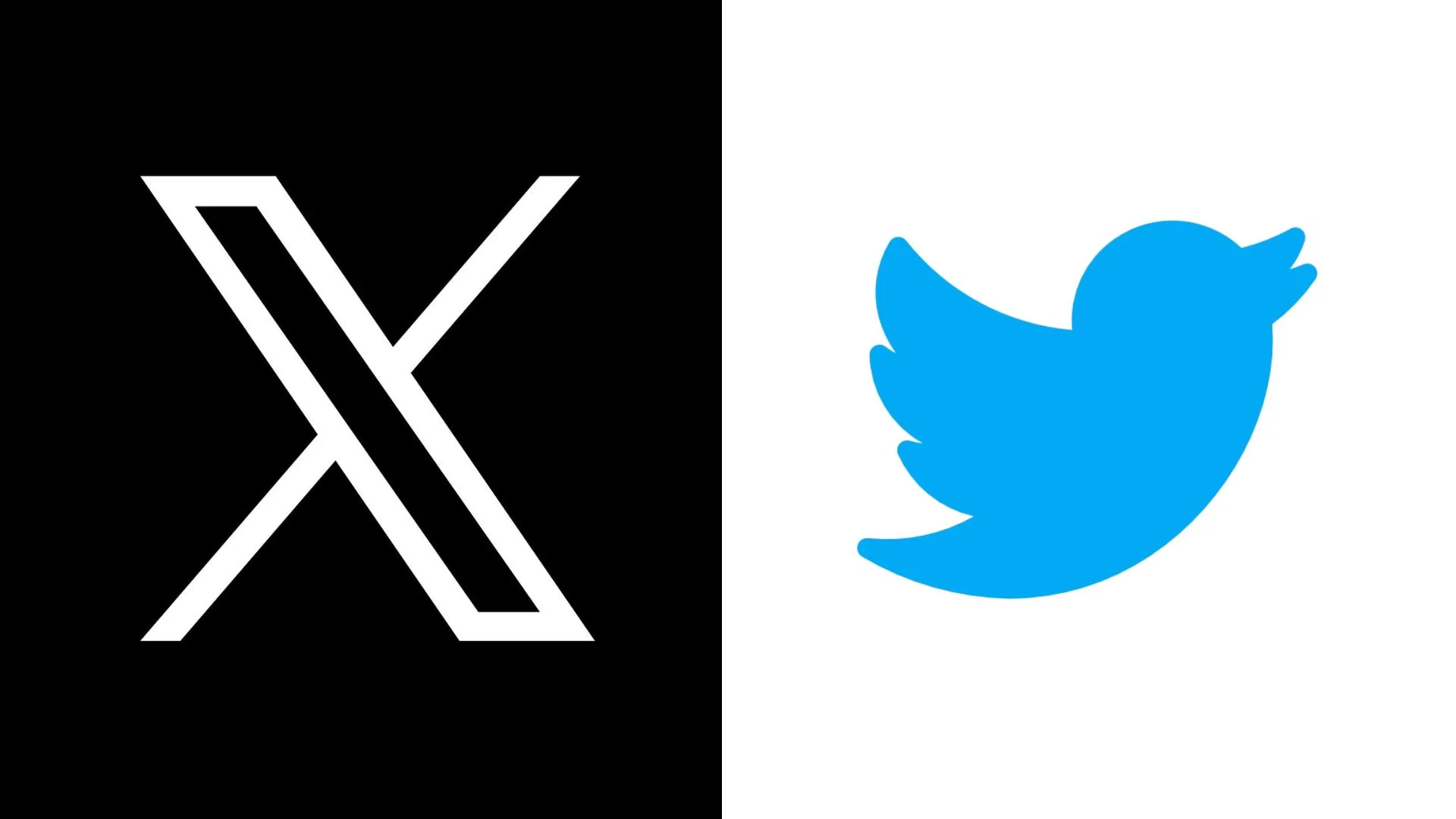 X