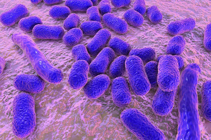 Zosurabalpin: possibile cura per un patogeno di priorità 1
