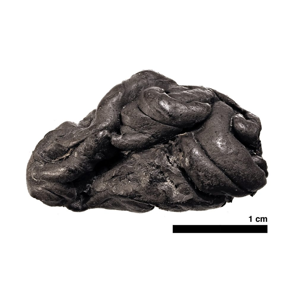 Gomma da masticare