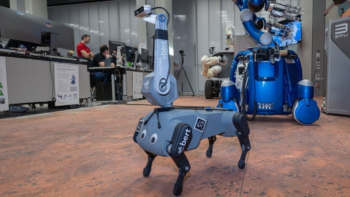 Cane robot: Bert è il 1° a venire controllato dallo spazio 3 Cane robot: Bert