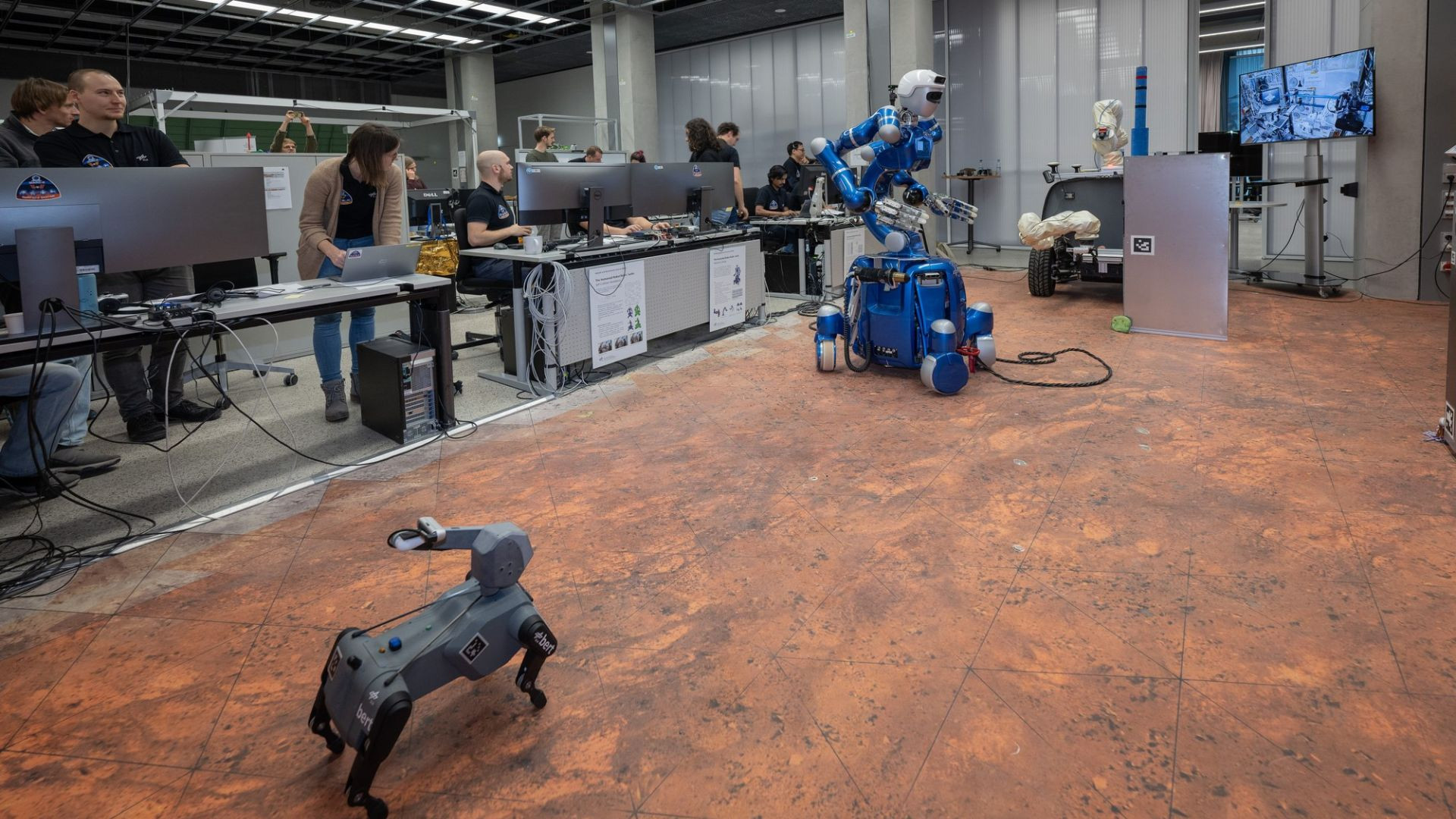 Cane robot: Bert