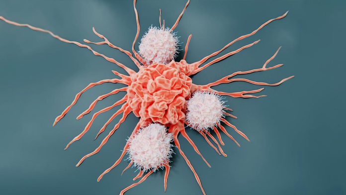 Cancro