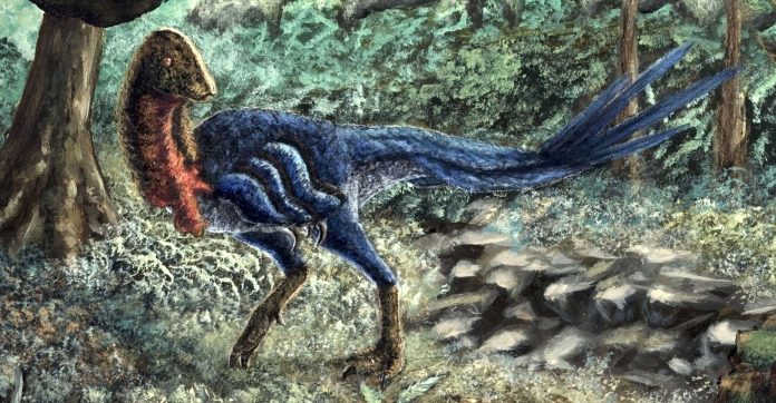 dinosauri