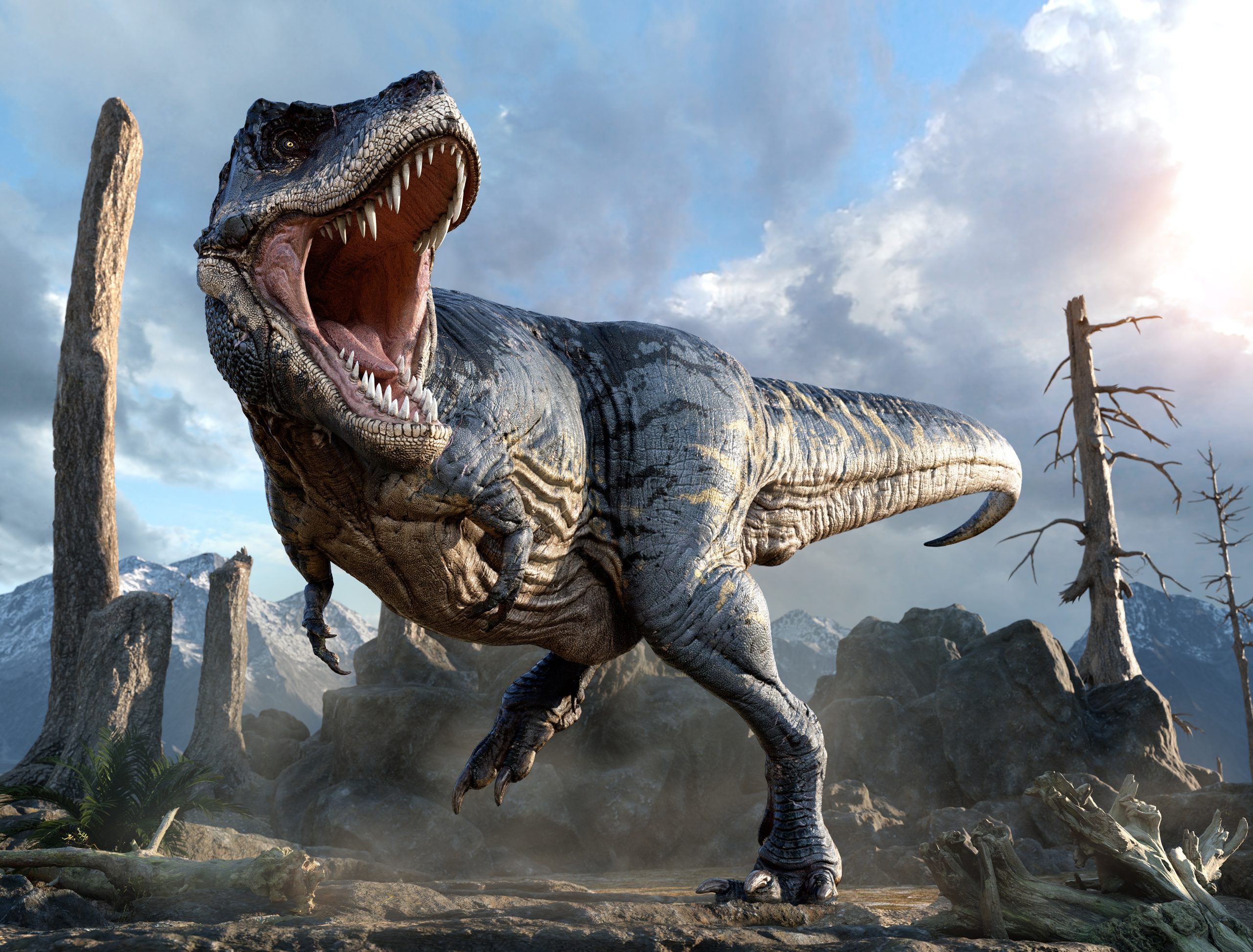 Il Tyrannosaurus rex potrebbe essere stato intelligente quanto le scimmie moderne 1 Tyrannosaurus mcraeensis, Tyrannosaurus rex