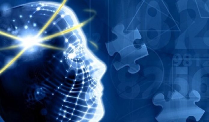 L'intelligenza umana è genetica o viene acquisita?
