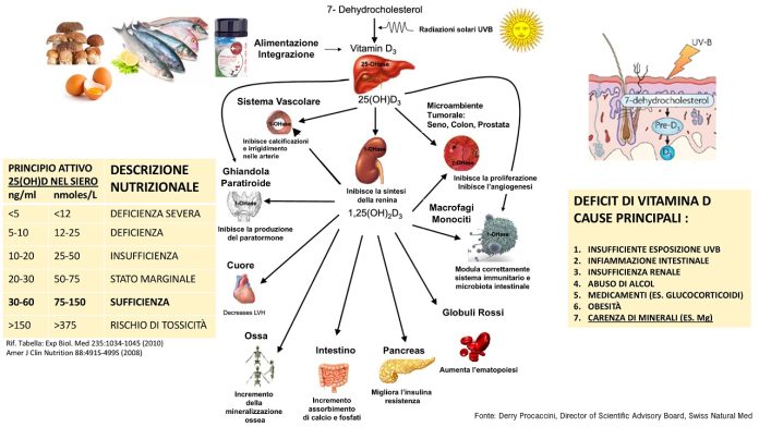Vitamina D, una nuova ricerca sfata il mito della supplementazione