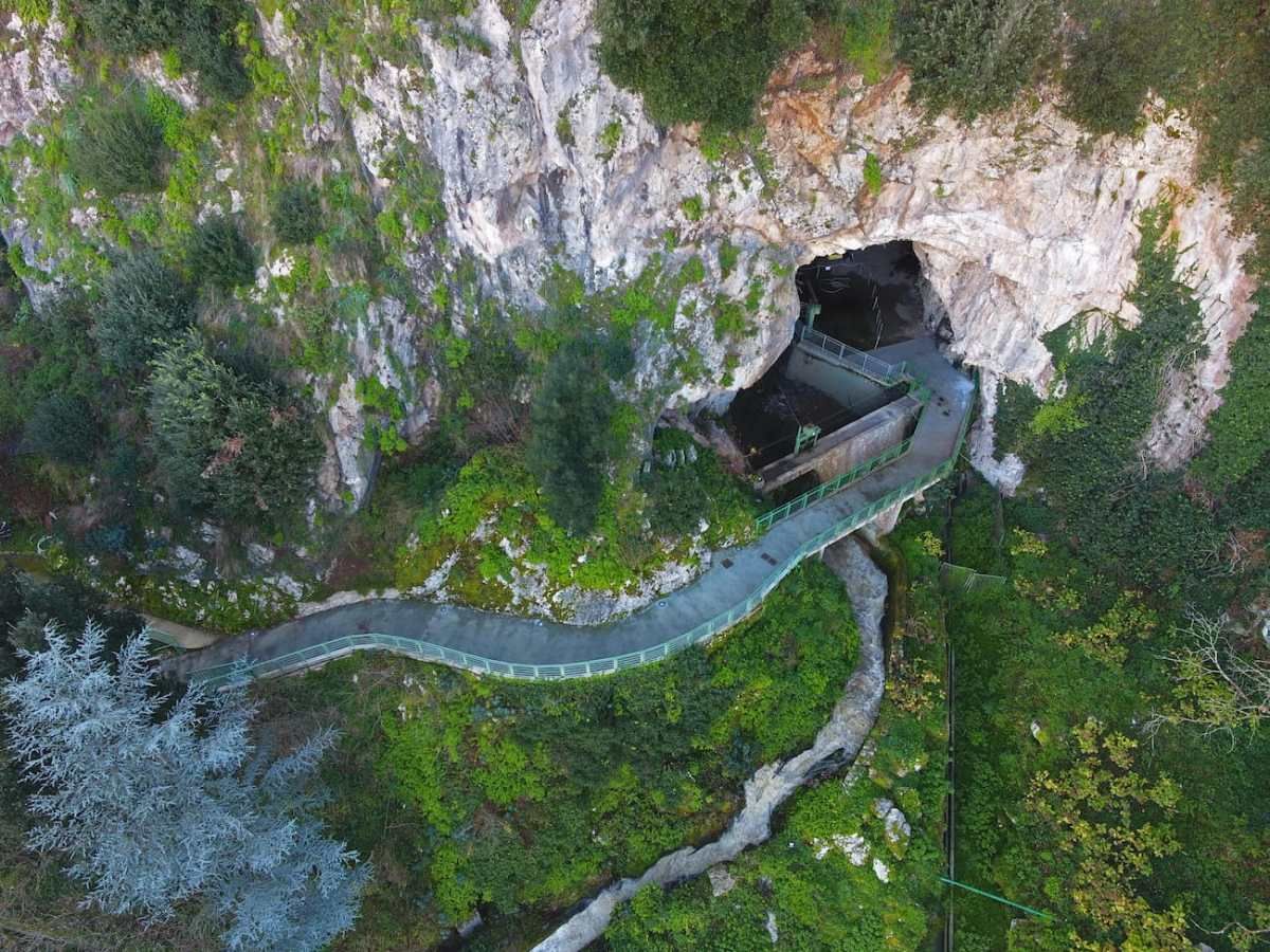 sito fossile del Biota di Cabrières