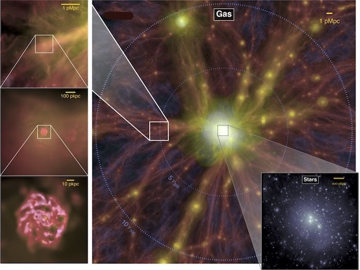 Come si evolvono le galassie nella rete cosmica? 2 Uno screenshot di una simulazione al computer di galassie incastonate con filamenti di gas e polvere.(Credito immagine: Yannick Bahé)