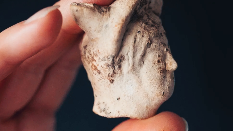 Ritrovata testa romana del Dio Mercurio di 2.000 anni fa in Inghilterra 1 Dio Mercurio