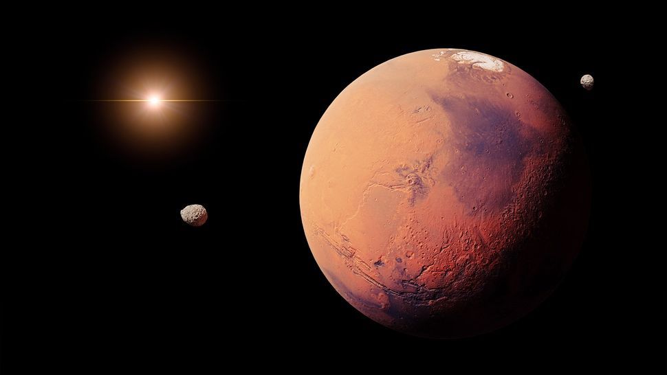 Marte: secondo uno studio, per creare una colonia basterebbero 22 persone 2 Marte e le sue lune Deimos e Phobos.(Credito immagine: Getty Images)