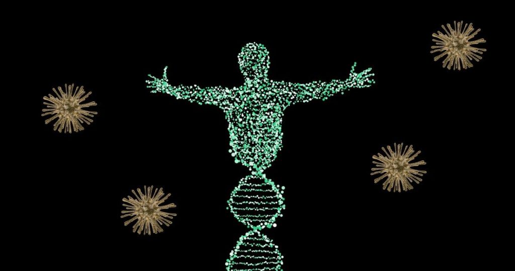 Retrovirus endogeni: cruciali nello sviluppo embrionale 1 I retrovirus endogeni e i frammenti di DNA virale integrati nel genoma umano svolgono un ruolo chiave