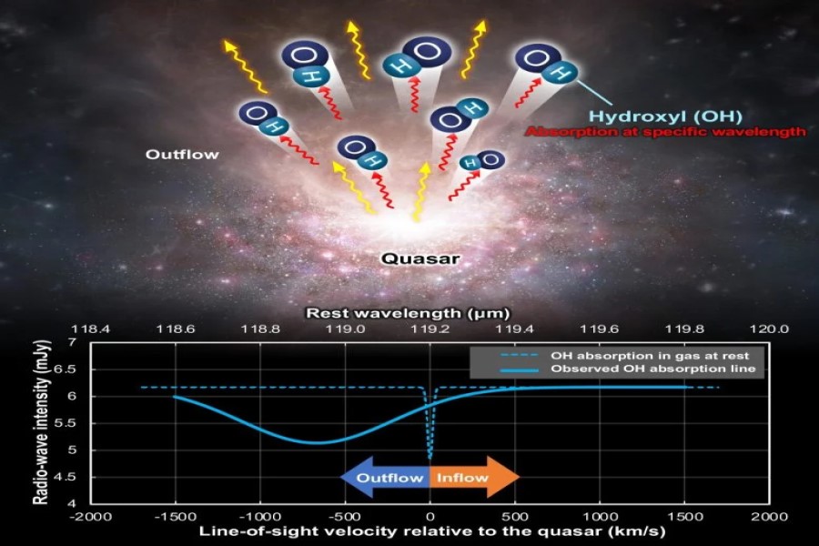 I quasar sopprimono la formazione stellare, la nuova scoperta di ALMA 3 Il gas molecolare in uscita dal quasar include idrossile (OH) (in alto). A causa del movimento del gas molecolare verso l'osservatore, il picco OH nello spettro di assorbimento (linea blu tratteggiata in basso) appare a una lunghezza d'onda più corta (linea blu continua), un fenomeno noto come effetto Doppler. Crediti: ALMA (ESO/NAOJ/NRAO) modificato da Dragan Salak, et al. Il diario astrofisico. 1 febbraio 2024