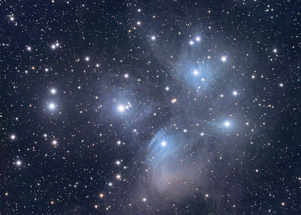 Come si evolvono le galassie nella rete cosmica? 3 L'ammasso stellare delle Pleiadi: un insieme di galassie collegate da filamenti di gas e polvere. (Credito immagine: Getty Images)