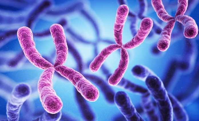 Malattie autoimmuni: le donne sono le più colpite, ecco perché