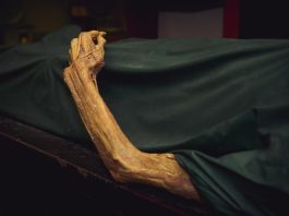 Decomposizione di cadaveri umani