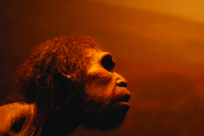 Homo naledi: un nuovo studio mette in discussione le teorie precedenti 3 Il team ha concluso che le prove presentate finora non erano abbastanza convincenti per sostenere la deliberata sepoltura dei defunti da parte dell’Homo naledi, né che fossero state realizzate le presunte incisioni.