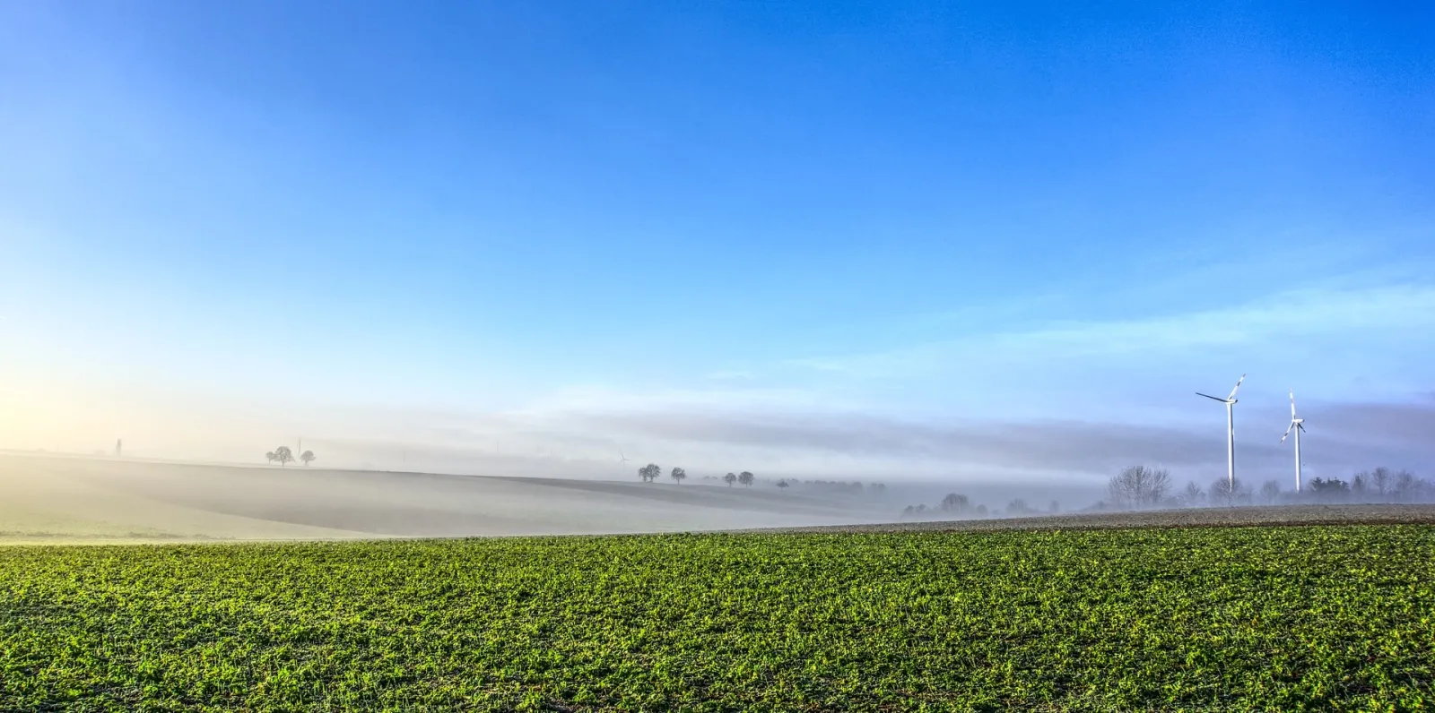 Emissioni di CO2